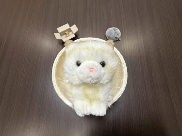 中学受験が終わりました