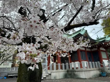 新学年には慣れましたか?