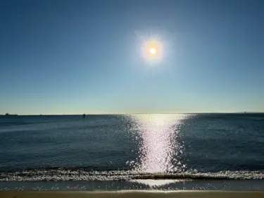 新年おめでとうございます🌅