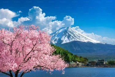 新学期